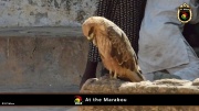 2014_at_the_marabu 004