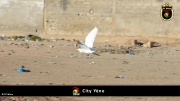 City Yene 005
