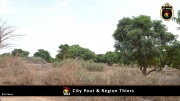 City Pout 033