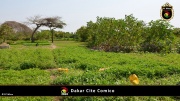 Dakar Cite Comico 009