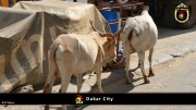 Dakar City 053
