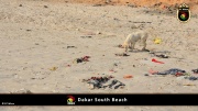 Dakar Südstrand 013