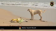 Dakar Südstrand 023