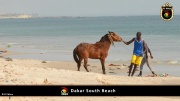 Dakar Südstrand 025