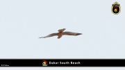 Dakar Südstrand 058