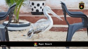 Ngor Beach 009