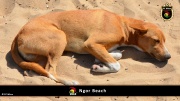 Ngor Beach 020