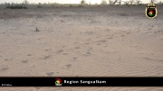 Region Sangualkam 001