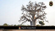 Region Sangualkam 007