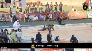 Wrestling in Senegal 011
