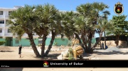 Universtität von Dakar 041