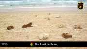 Strand in Dakar 012