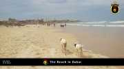 Strand in Dakar 019