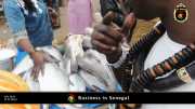 Geschäfte in Senegal 001