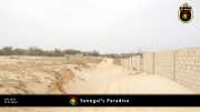 paradies 005