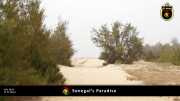 paradies 006