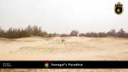 paradies 008