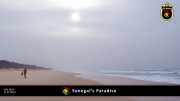 paradies 011