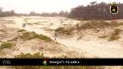 paradies 019