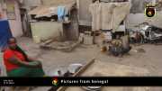 Verschiedene Bilder aus Senegal 032