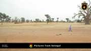 Verschiedene Bilder aus Senegal 045