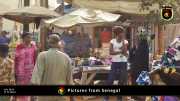 Verschiedene Bilder aus Senegal 076