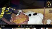 Unsere "Sheep Akademie" in Senegal 001